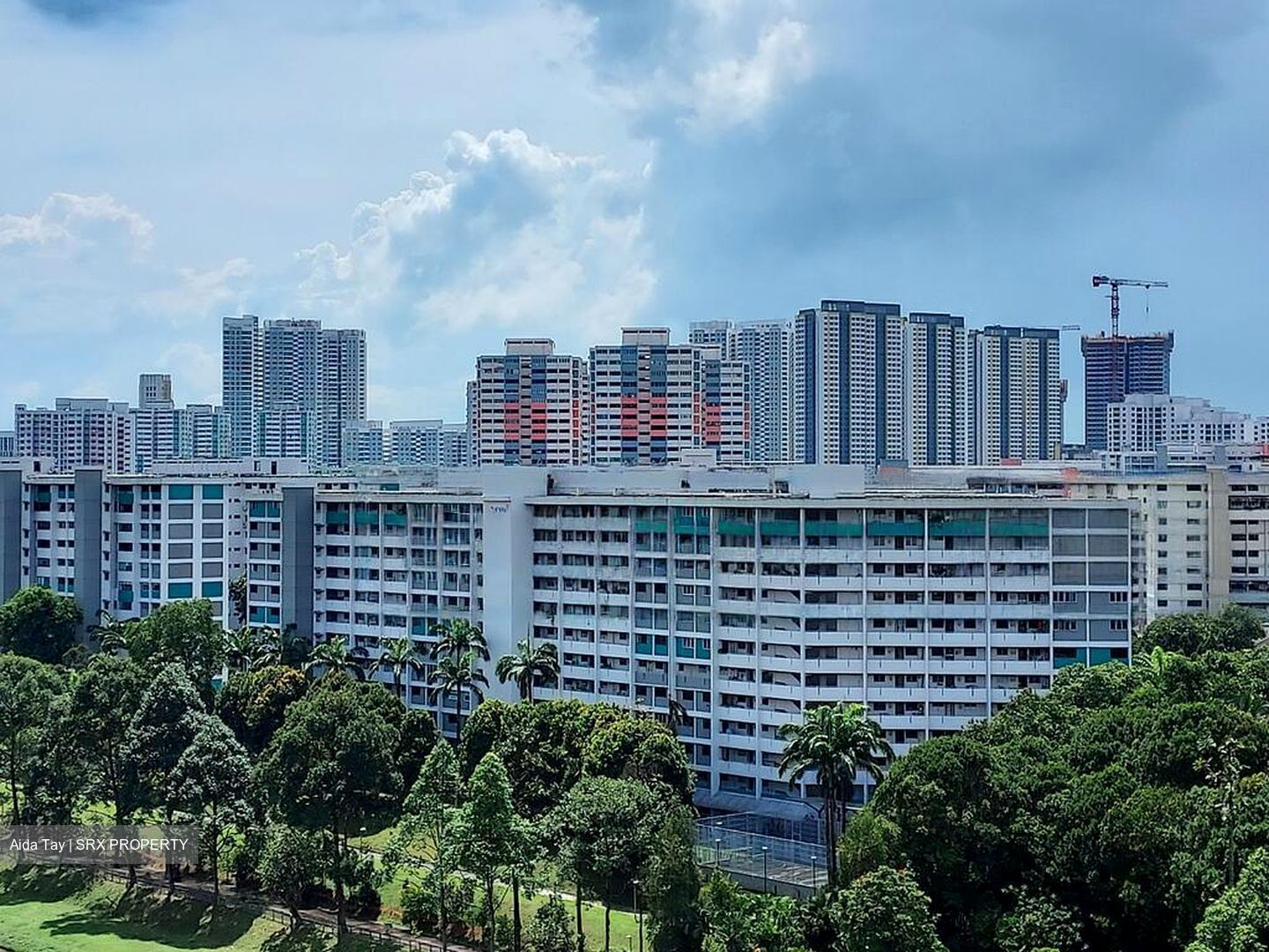 Blk 313 Teck Ghee Evergreen (Ang Mo Kio), HDB 3 Rooms #453021371